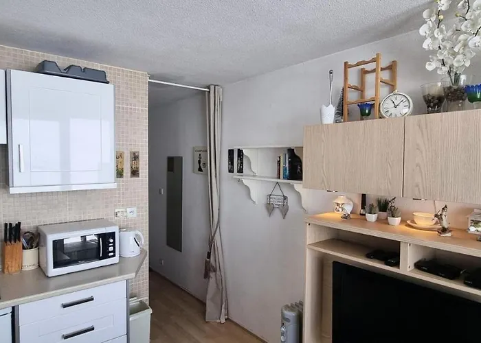 Etoile - Renove De 26m² Vue Pistes Mae-3124 拉普拉涅